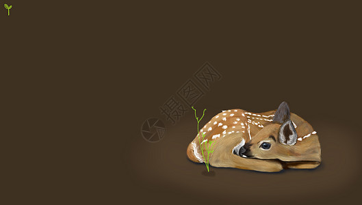 冬眠的小鹿背景图片