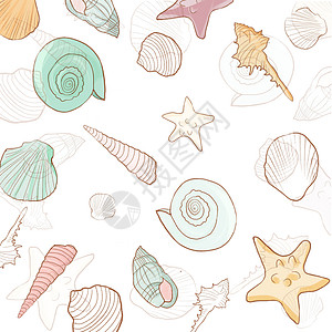 海螺肉夏日海滩贝壳背景素材插画