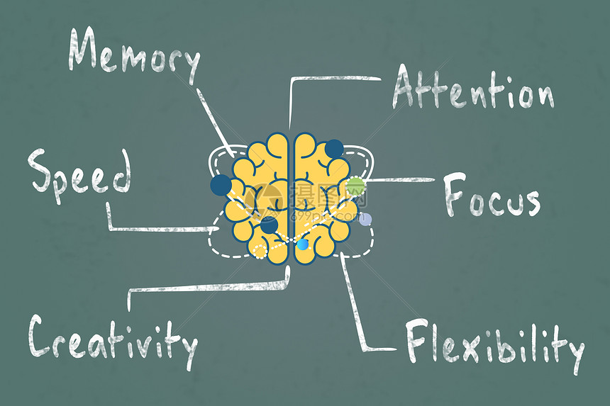 大脑分区素材图片