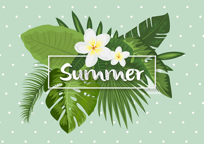 夏天summer