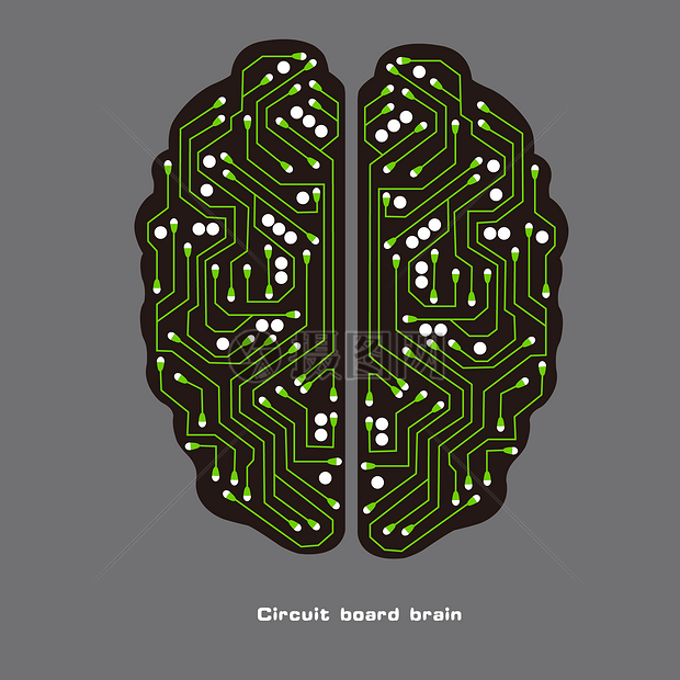 大脑图片