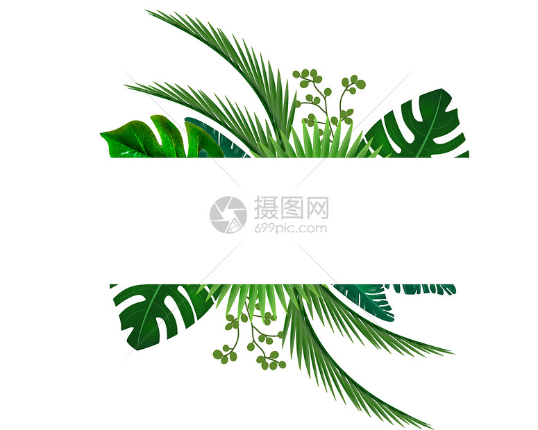水彩热带树叶图案图片