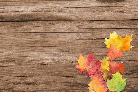 木板上的秋叶背景图片