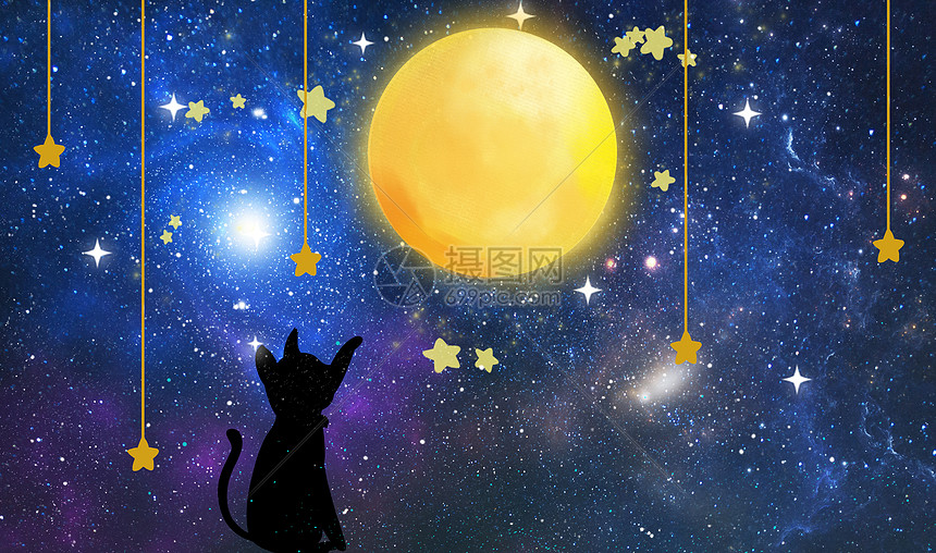 仰望月亮的黑猫