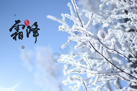 屋檐积雪霜降设计图片