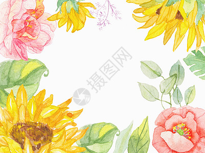 水彩花朵花卉背景高清图片