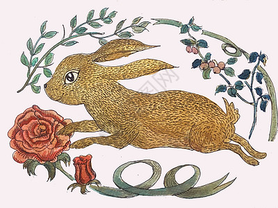 兔子水彩插画图片