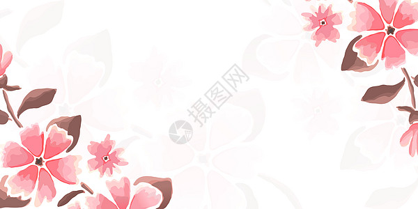 花卉banner背景背景图片