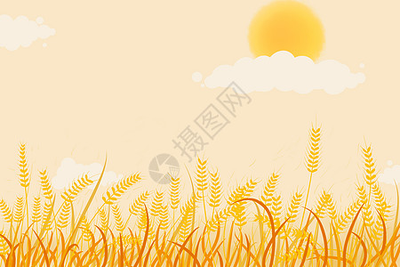 风吹麦浪小麦季节高清图片