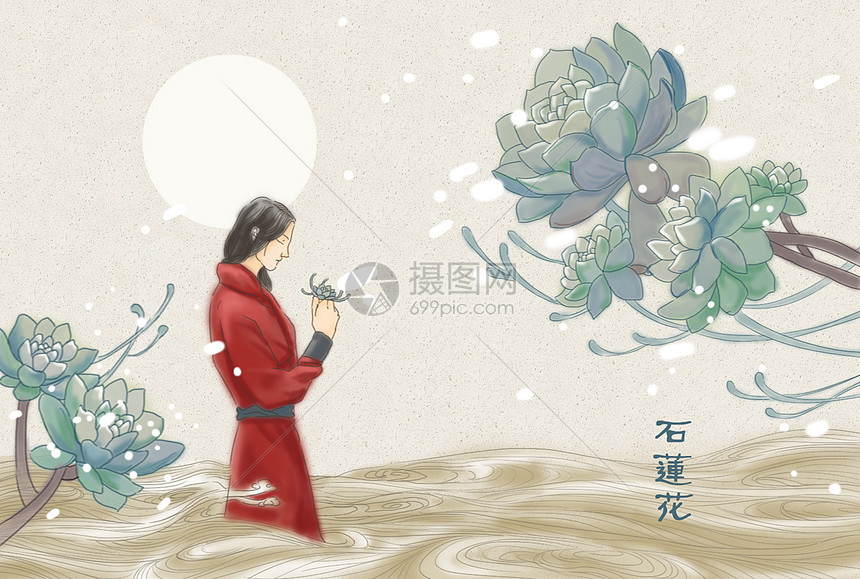 水墨插画-石莲花图片