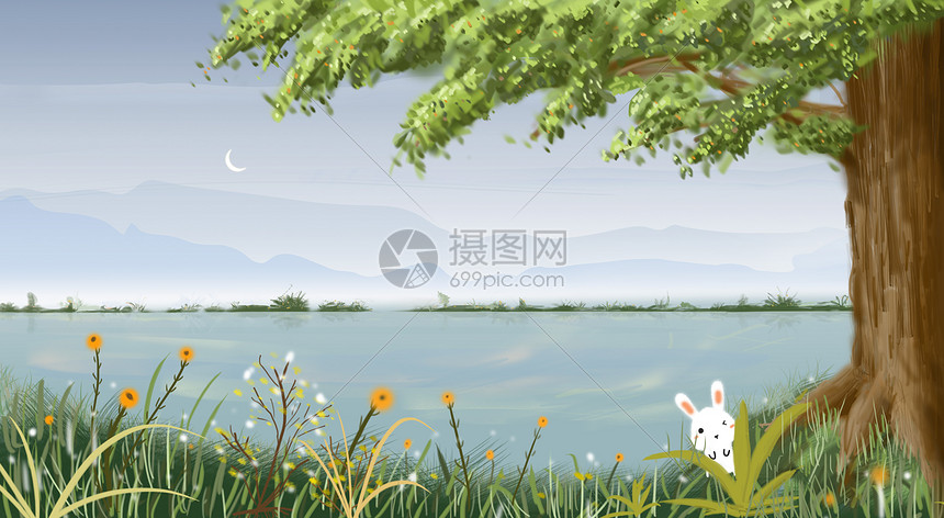 盛夏湖边小白兔图片