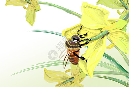 蜜蜂的春蜜蜂矢量高清图片