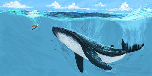 鲸鱼幻想插画背景图片
