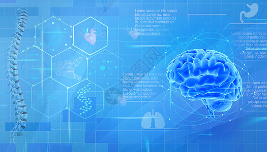 健康生活医疗科技器官背景设计图片
