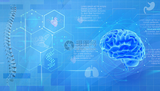 医疗科技器官背景图片