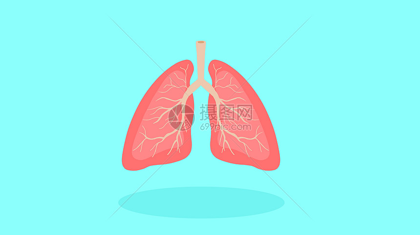 肺部健康图片