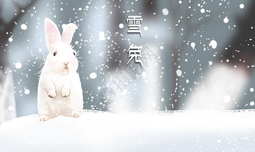 雪地上的兔子图片