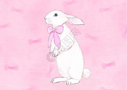 小兔子动物插画图片