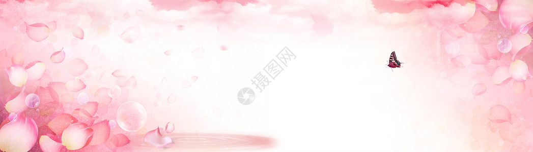 露水玫瑰花粉色情人节背景设计图片