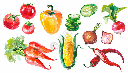 新鲜黄瓜彩绘蔬菜素材插画