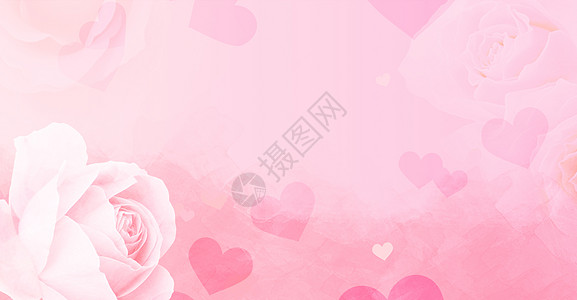 粉红色玫瑰浪漫情人节背景背景图片