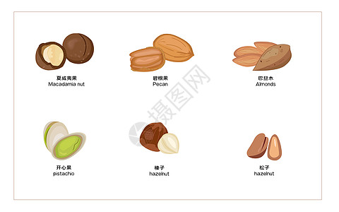 坚果森林果实坚果高清图片