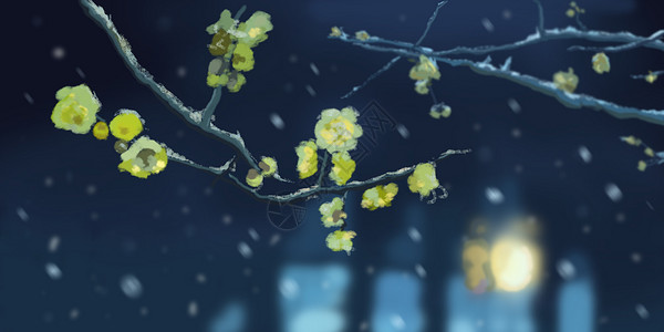 腊梅插画雪花雪发芽高清图片