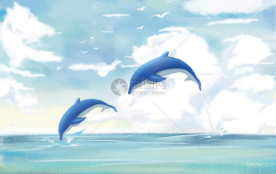 自由翱翔的海豚图片