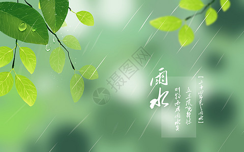 雨水二十四节气雨水高清图片