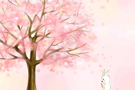 樱花树下的小白兔图片