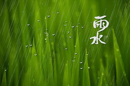 雨水图片