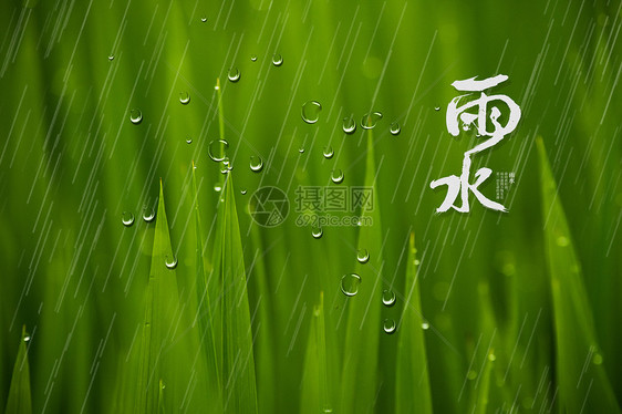 雨水图片