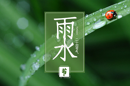 二十四节气之雨水图片