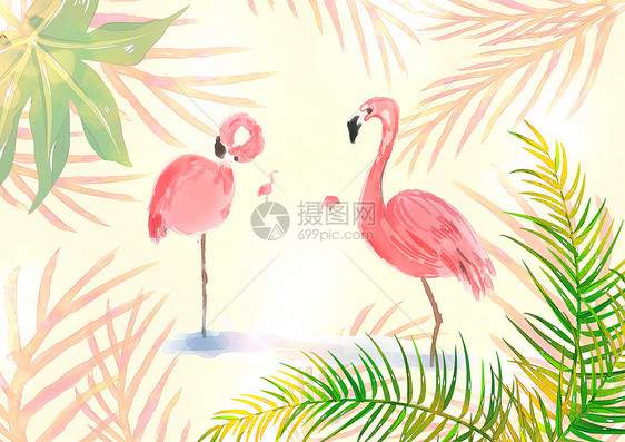 情侣火烈鸟植物水彩插画图片