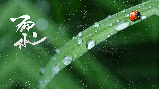 传统节日雨水节气高清图片