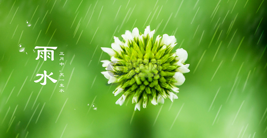 24节气雨水节日背景图片