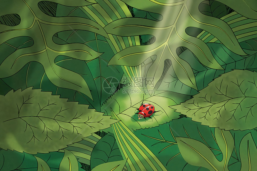 森林昆虫插画图片下载-正版图片400104269-摄图网