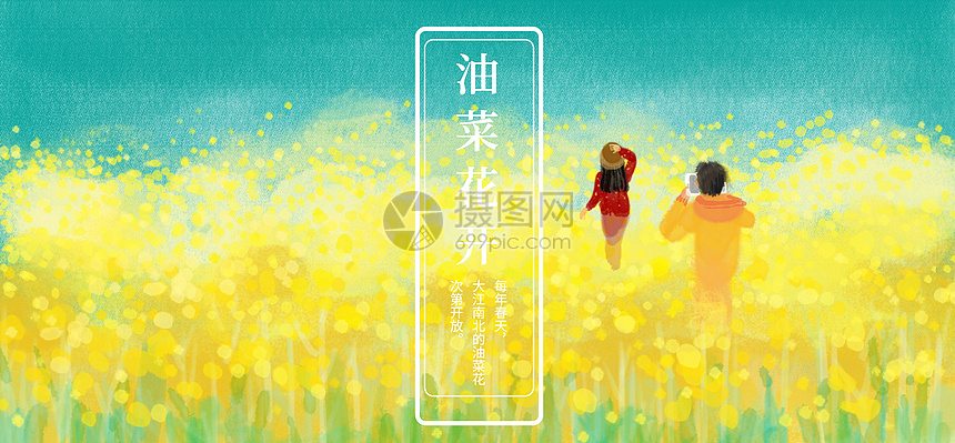 油菜花开图片