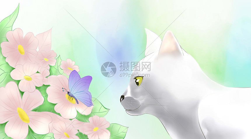 猫与花图片