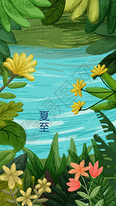 二十四节气夏至插画图片