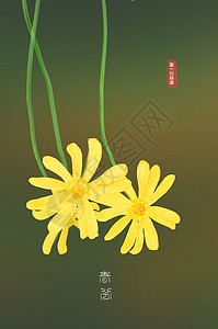 野菊手绘野菊花朵高清图片