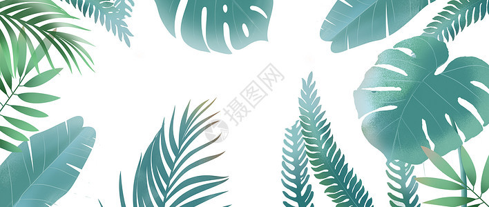 树叶绿色植物背景素材背景图片
