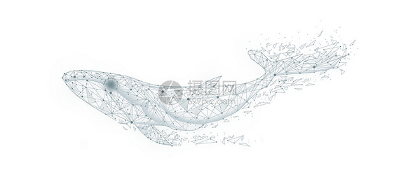海洋科技鲸鱼背景图片