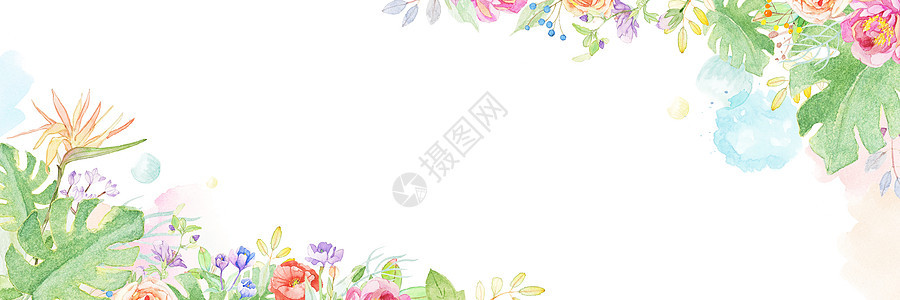 花卉手绘插画banner背景图片