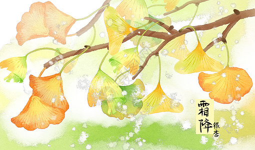 秋天黄色叶子二十四节气霜降插画