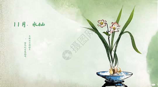 清新水仙图手绘水仙花卉高清图片