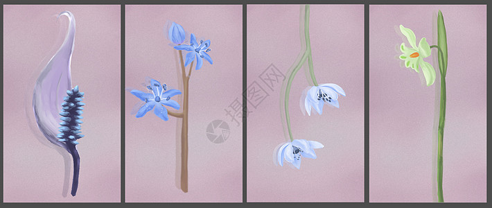 花卉植物素材背景图片
