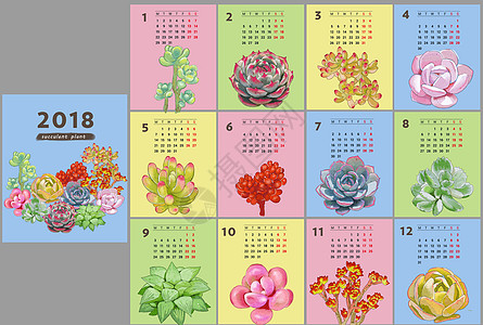 2018年历2018多肉植物日历插画