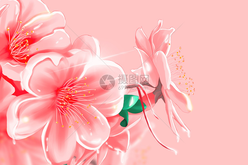 桃花意境插画图片