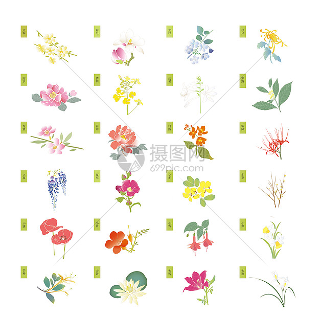 二十四节气花卉图片